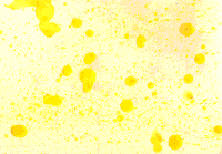 animation art GIF by EmiLi