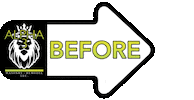 Alpha 3 Sticker by Alpha 3 Masonry And Remodel