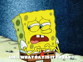 season 6 house fancy GIF by SpongeBob SquarePants