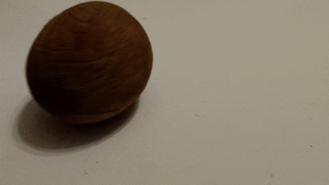 coconut pieces GIF