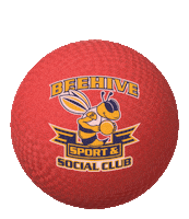 Soccer Softball Sticker by Beehive Sports