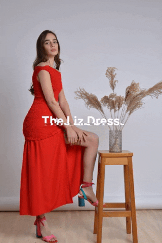 danielamilosheska giphygifmaker GIF