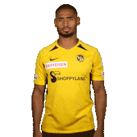 Saidy Janko Referee Sticker by BSC Young Boys
