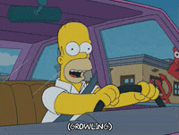 homer simpson GIF