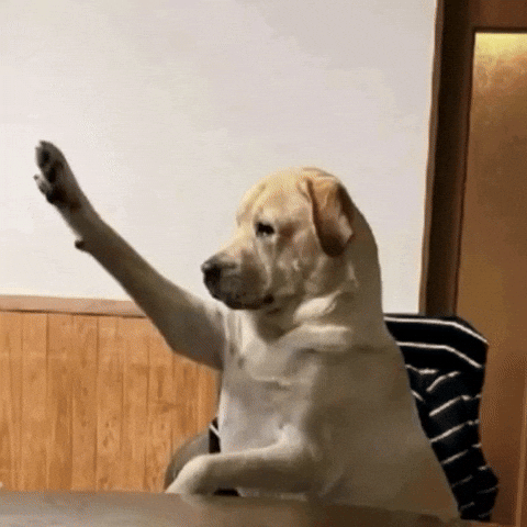 Dog Hello GIF