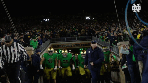 GIF by Notre Dame Fighting Irish