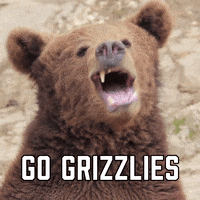 Memphis Grizzlies Win GIF by Sealed With A GIF