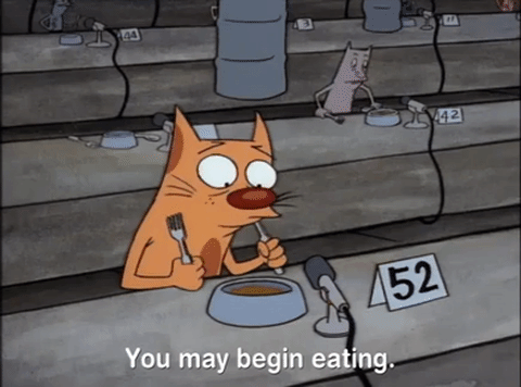 nicksplat GIF