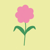 katrinenordstrand flower katrinenordstrand GIF