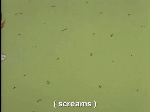 nicksplat rugrats GIF