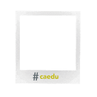 CaeduModa caedu caedustickers caedumoda Sticker