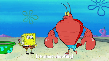 Season 10 Episode 6 GIF by SpongeBob SquarePants
