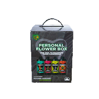 Plant Grow Sticker by Future Harvest