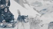 Glacier_3000 travel adventure switzerland mountains GIF