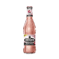 cider applecider Sticker by Strongbow