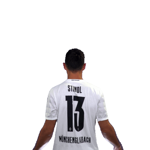 Lars Stindl Diefohlen Sticker by Borussia Mönchengladbach