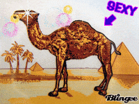 GIF by haydiroket (Mert Keskin)