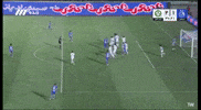 Afc Taj GIF