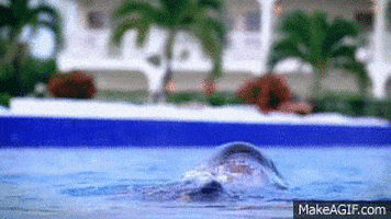 ohhh GIF