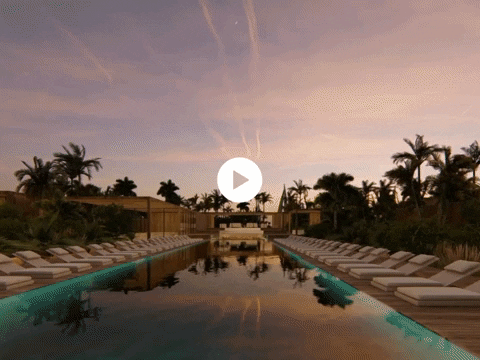 GIF by Z Advertising Group