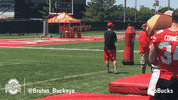 Ohio State Sport GIF by Ohio State Athletics