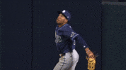 Tampa Bay Rays Sport GIF by MLB