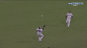 World Series Sport GIF by MLB
