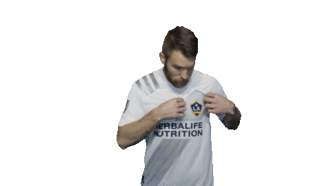 Los Angeles Football Sticker by LA Galaxy