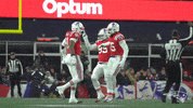 Football Celebration GIF by New England Patriots
