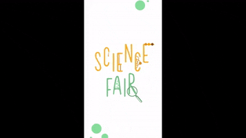 Science Fair GIF by Escola Eleva