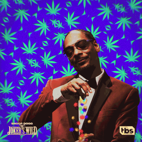 jokers wild smoke GIF by Snoop Dogg Presents The Joker’s Wild