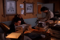 Season 2 Episode 21 GIF by Twin Peaks on Showtime