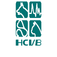 hcvbblumenau  Sticker