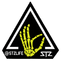 snowboard wakeboard Sticker by STZ