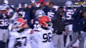Football Celebration GIF by New England Patriots