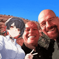 Breaking Bad Selfie GIF