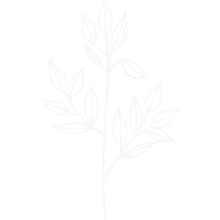 Flower Leaf Sticker by Sálvora Store