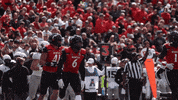 University Of Cincinnati Uc Football GIF by Cincinnati Bearcats