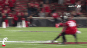 cincinnati bearcats celebration GIF by University of Cincinnati Athletics