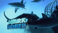 Mark Rober vs Sharks