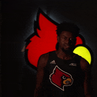 University Of Louisville GIF by Louisville Cardinals