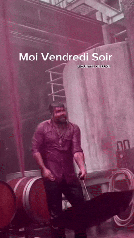 Wine Vin GIF by systaime