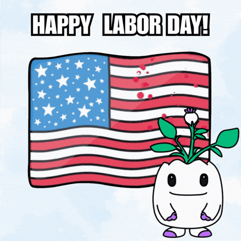 Labor Day Weekend GIF by Magic Eden