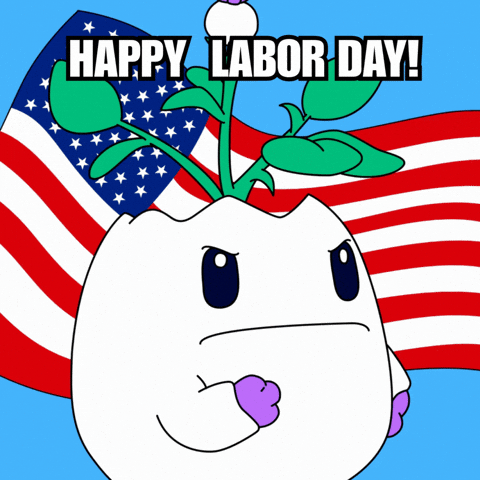 Labor Day Weekend GIF by Magic Eden