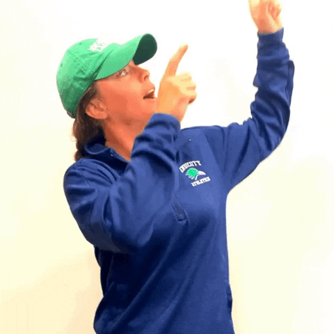 ecgulls lacrosse endicott GIF