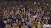 College Football GIF by LSU Tigers