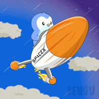 Driving Elon Musk GIF by Pudgy Penguins