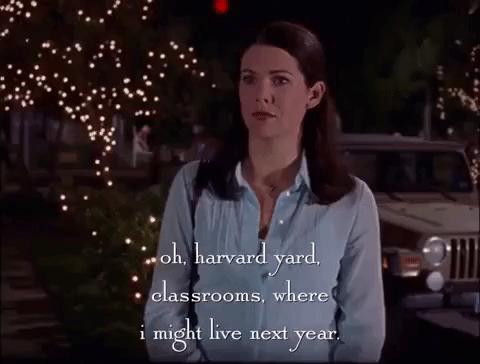 season 2 netflix GIF by Gilmore Girls 