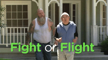 exercise fight or flight GIF by Team Coco