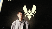 Esports Vita GIF by Team Vitality